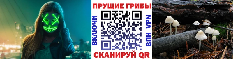 MEGA маркетплейс  Самара  Галлюциногенные грибы Magic Shrooms 